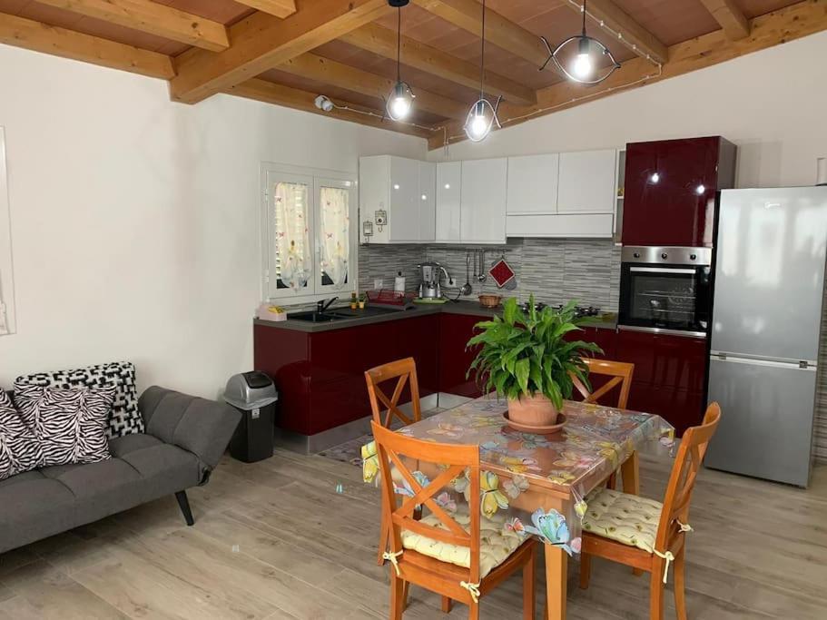 Agriturismo Il Sorbino - Appartamento Da Cocca Pian d'Alma Eksteriør billede