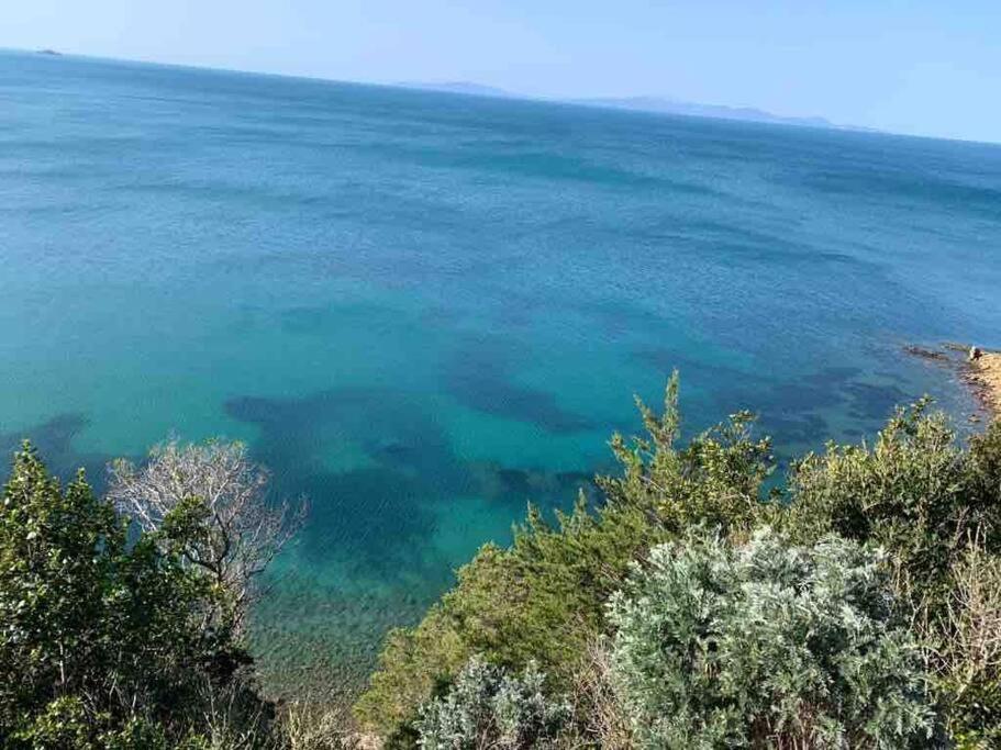 Agriturismo Il Sorbino - Appartamento Da Cocca Pian d'Alma Eksteriør billede