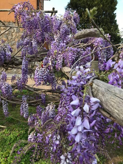 Agriturismo Il Sorbino - Appartamento Da Cocca Pian d'Alma Eksteriør billede
