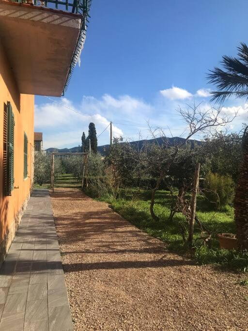 Agriturismo Il Sorbino - Appartamento Da Cocca Pian d'Alma Eksteriør billede